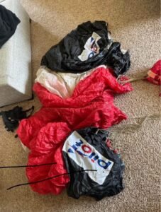 Wings Parachute (complete rig) — photo 8 of 9